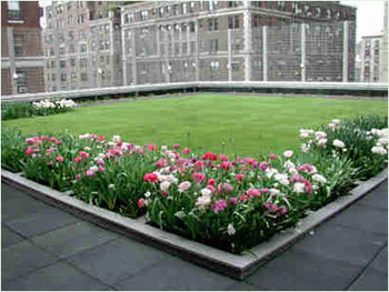 Environmentallyfriendly quotGreen Roof Systemquot